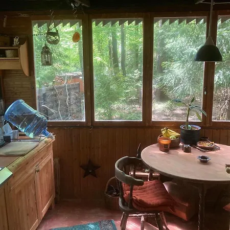 Bungalow Im Wald Am See - Biberspur Casa vacanze