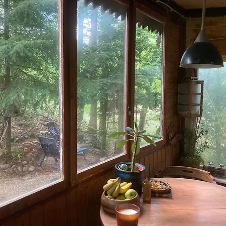 Bungalow Im Wald Am See - Biberspur Zieko