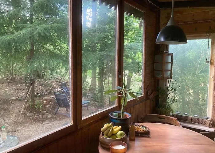 Bungalow Im Wald Am See - Biberspur Zieko